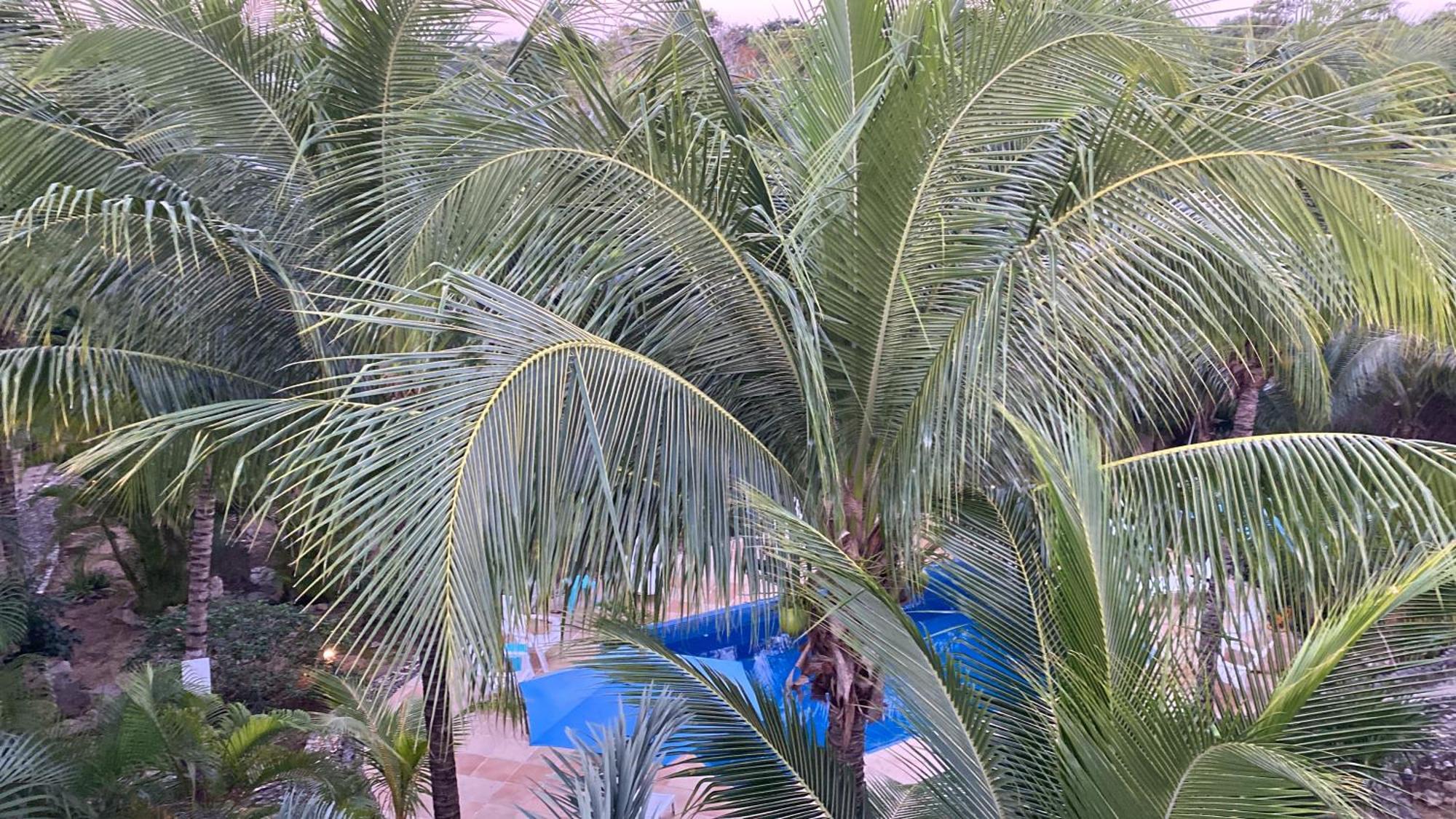 אקומל Villa Tortugas מראה חיצוני תמונה