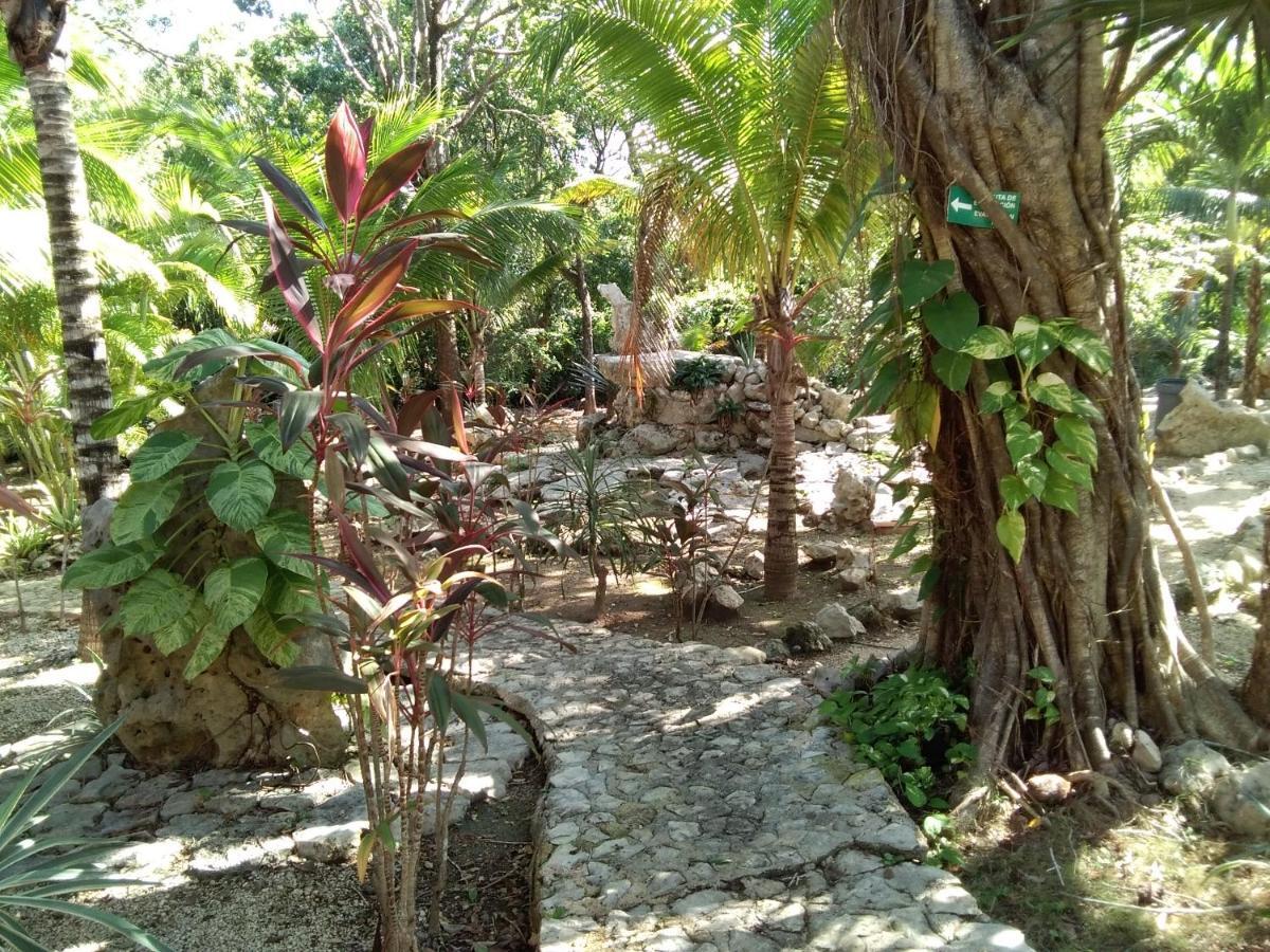 אקומל Villa Tortugas מראה חיצוני תמונה