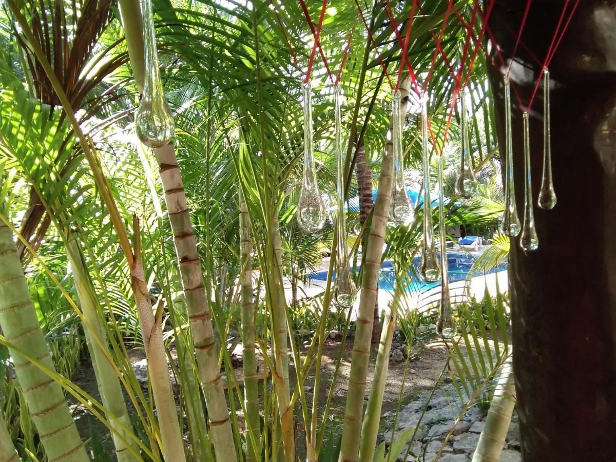 אקומל Villa Tortugas מראה חיצוני תמונה