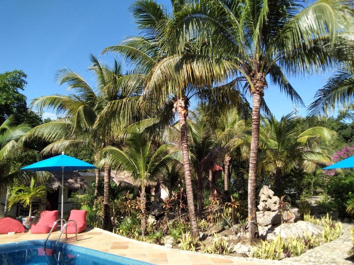 אקומל Villa Tortugas מראה חיצוני תמונה