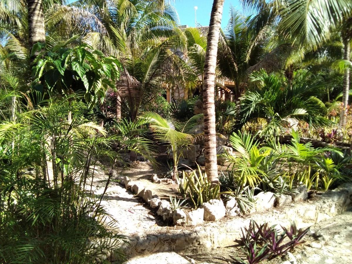 אקומל Villa Tortugas מראה חיצוני תמונה
